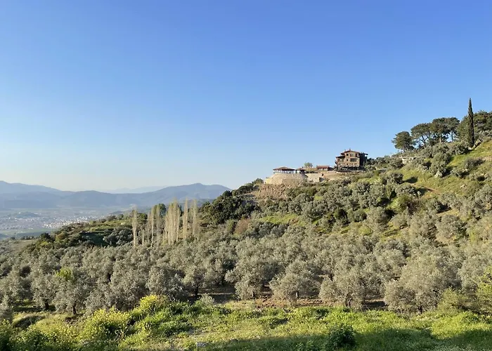 Ephesus Retreat