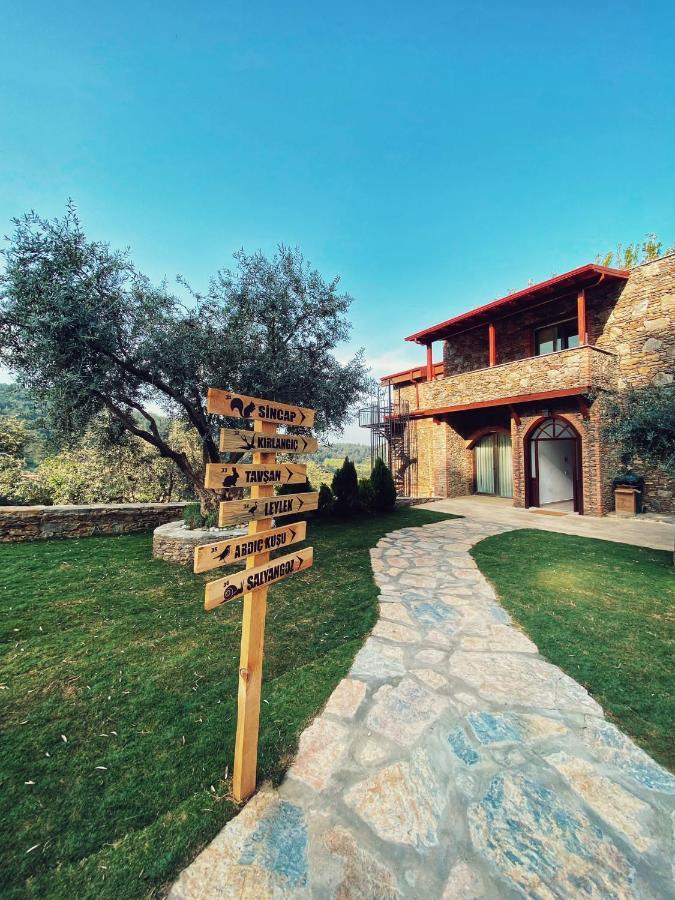 Hotel Ephesus Retreat